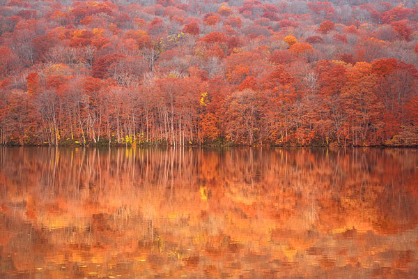 Photograph Masato Saito Fall Reflectiom on One Eyeland